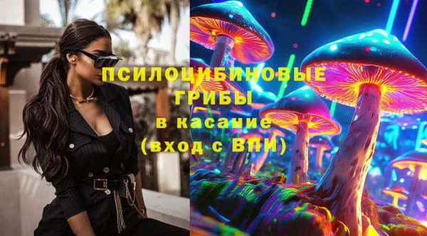 PSILOCYBIN Протвино