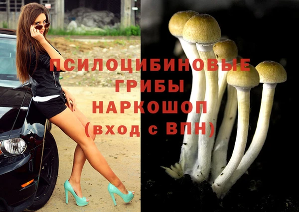 твердый Покачи