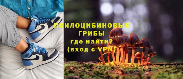 МДПВ Покров