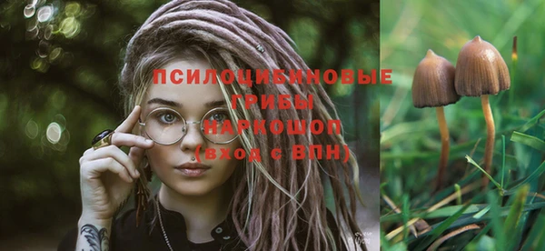 не бодяженный Абаза