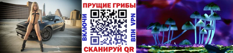 Галлюциногенные грибы прущие грибы  Зеленодольск 